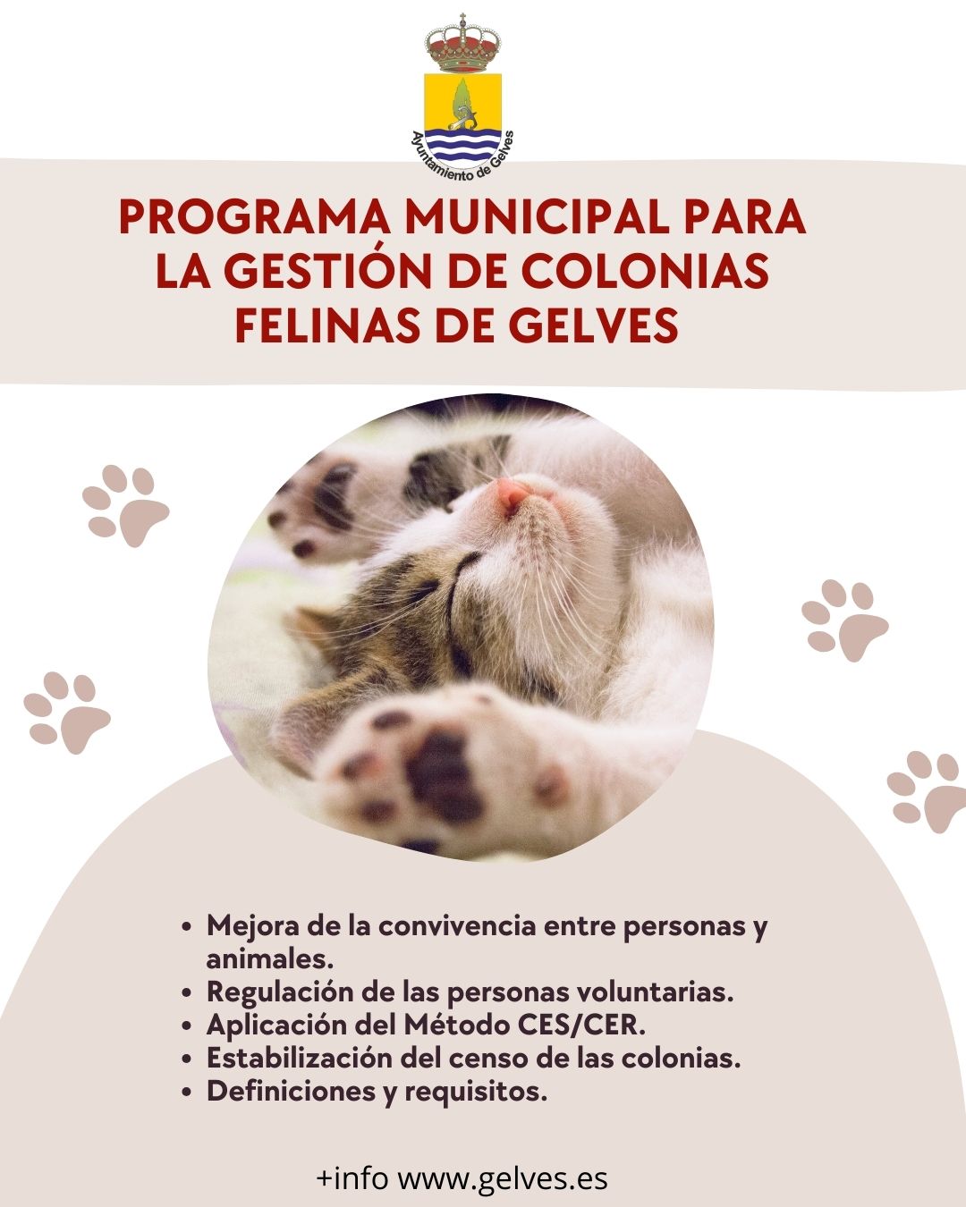 WhatsApp Image 2025-02-12 at 12.36.53