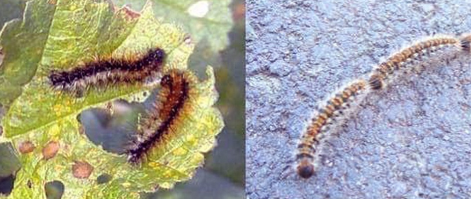 WhatsApp Image 2025-02-12 at 12.39.21