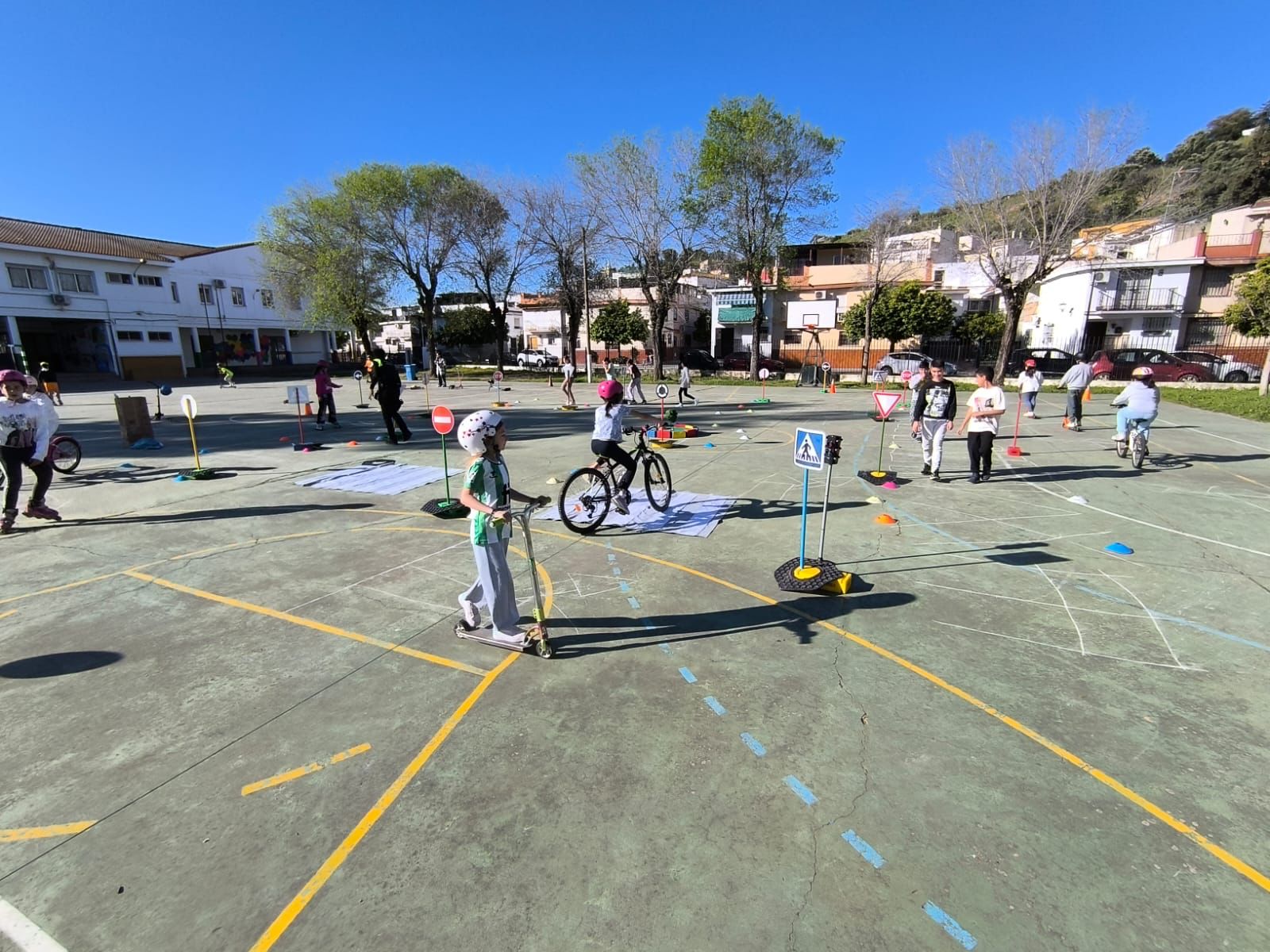 WhatsApp Image 2025-04-09 at 12.31.17