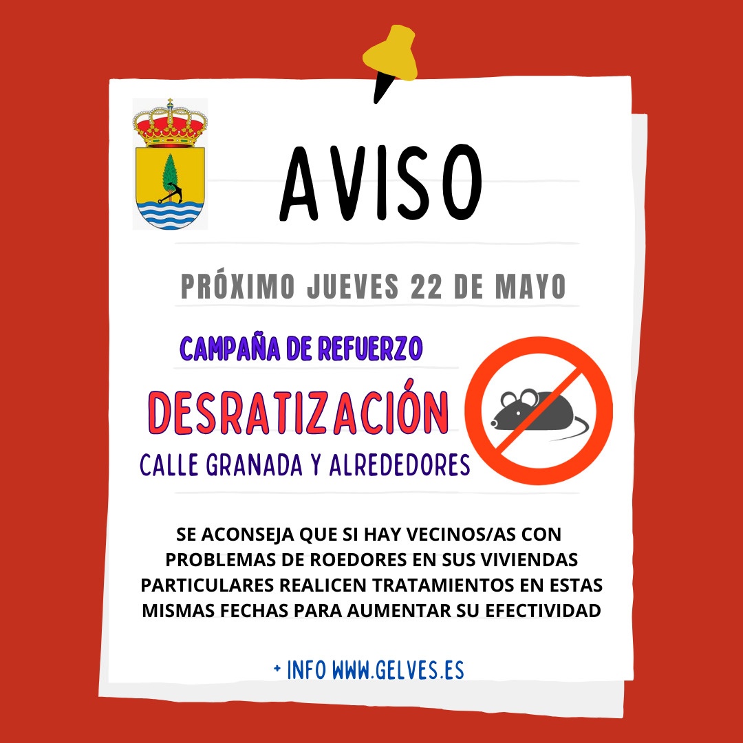 WhatsApp Image 2025-05-19 at 13.18.34