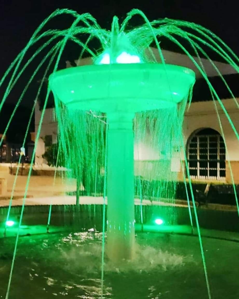 capaces enfermedades neuromusculares 1