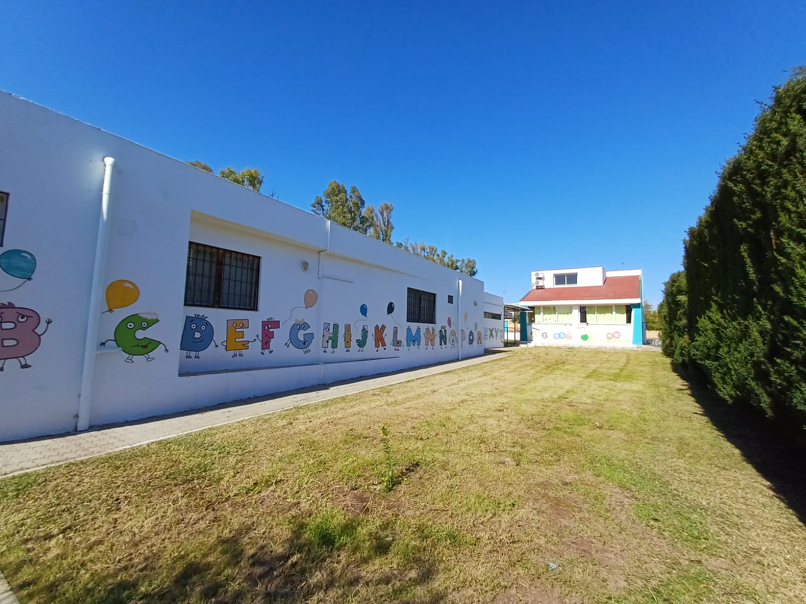 desbroce febrero 2026 (22)