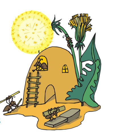 girasoles 25 noviembre