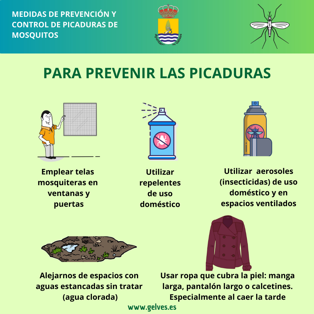 imagen 2ª campaña mosquito picaduras
