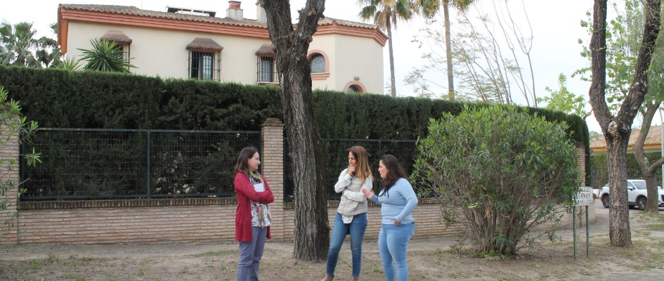 inicio plan simon verde portada