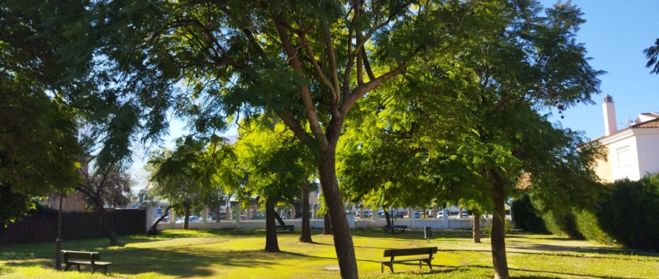 jardineros enero_portada