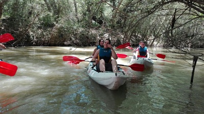 premios ganadores gymkhana 2