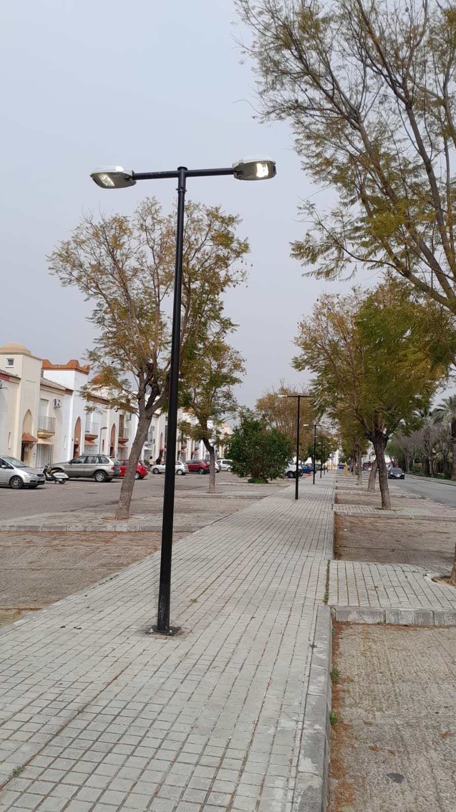 reposicion farolas boulevard (3)