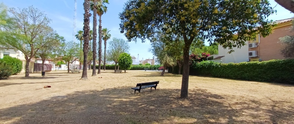 trabajos jardineria gelves junio 2026-3 (11)