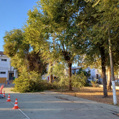 068d52fa-2e89-4c3c-9f19-569a4108da68