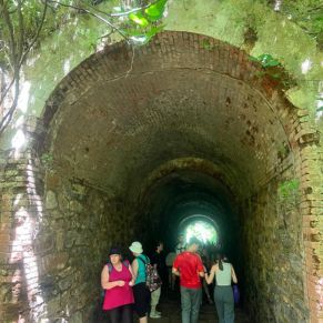 117fa29a-99ee-415f-814a-554323c69ce3