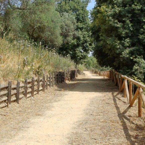 155e2c09-fab4-444f-ad40-4b4815095fea