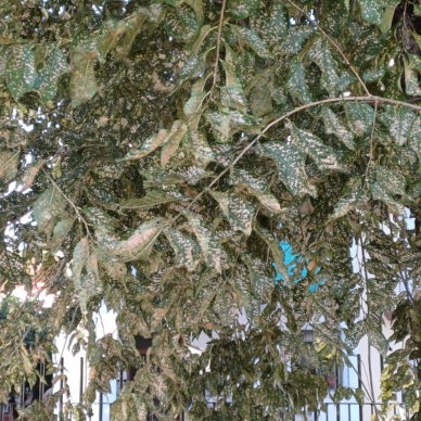 15b25915-d5b9-419b-a441-1ec1ab4600dc