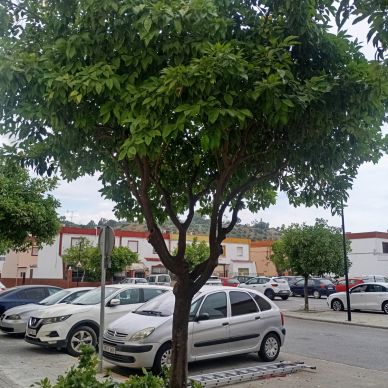 16a1ccdc-c15b-46a0-9378-291e42bb2d9a