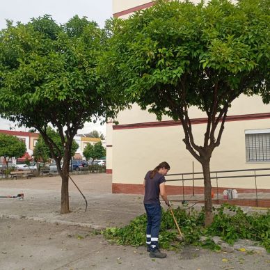 20543c7e-467a-4867-a449-534231baeb82