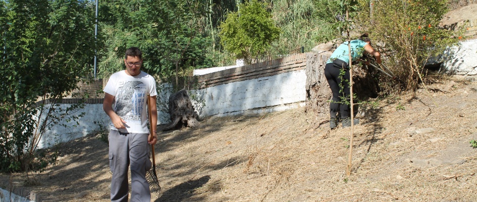 229d8a47-b6b3-4814-8469-80b258f99798