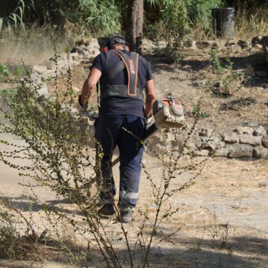 4336e1ea-17b3-4860-81da-ff8e70a21cb5