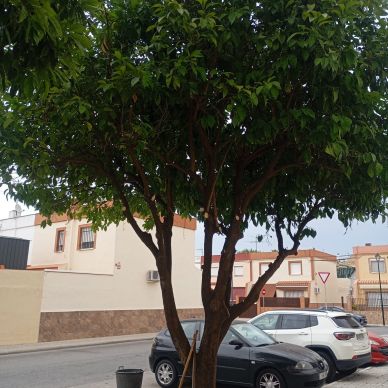 4c637b75-2354-4bc8-befd-83231b95386f