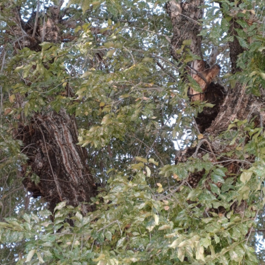 4f6d7297-f095-4c44-818c-728439fd407e