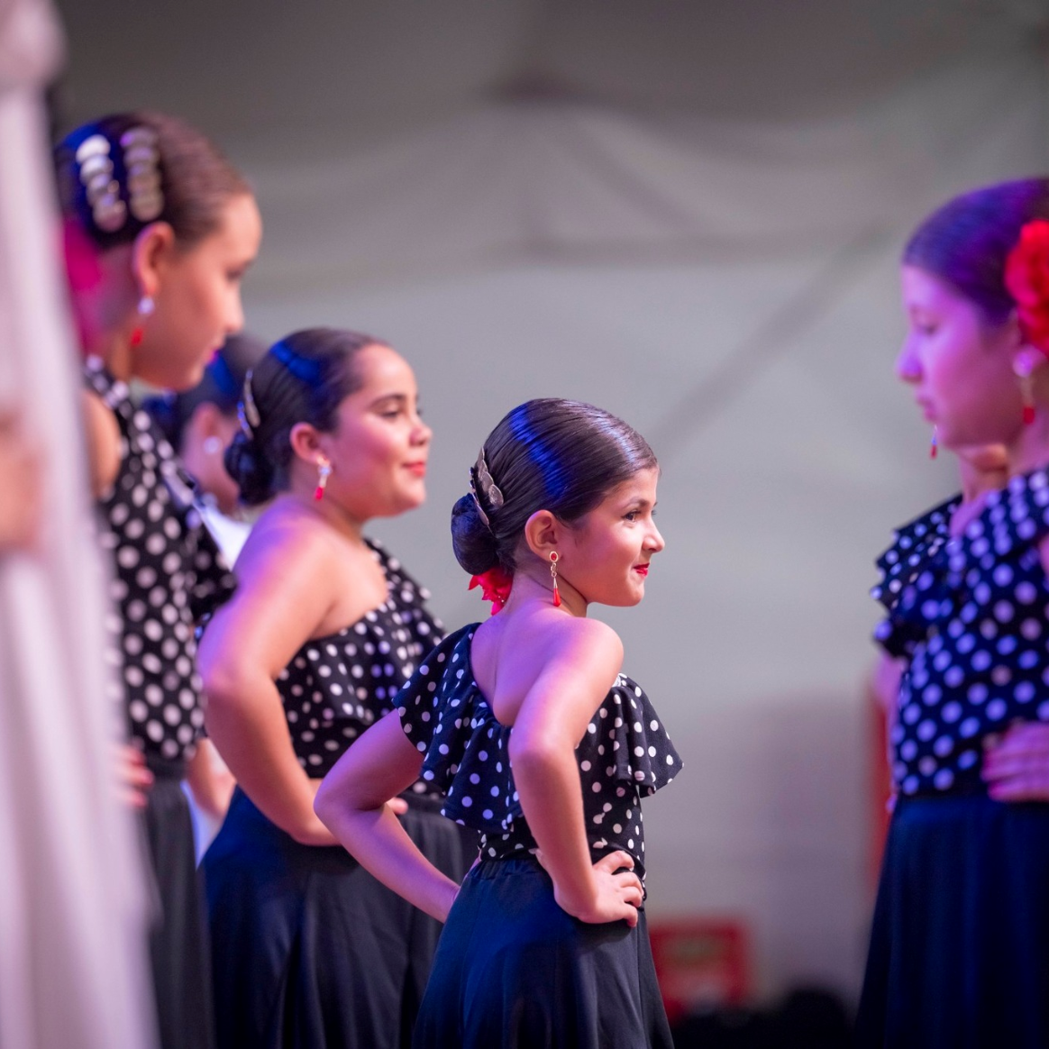 541050469_793369489684230_6373236089278343819_n