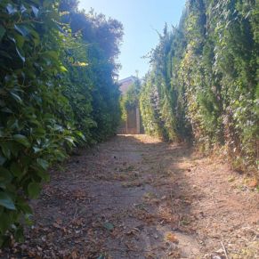 608e7c5d-bf30-4b21-8f52-37f94c8985ed