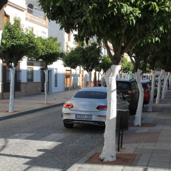 64ab83eb-8de2-4b76-966f-bcb4bf6d4384