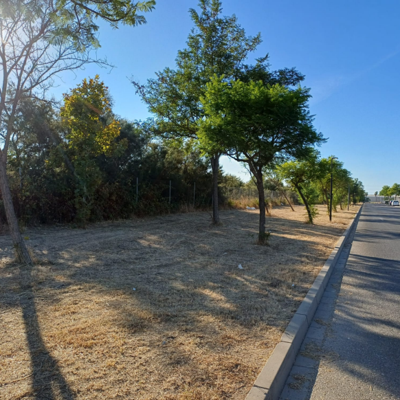 6950e857-f51f-4be1-9777-28883ac409c1