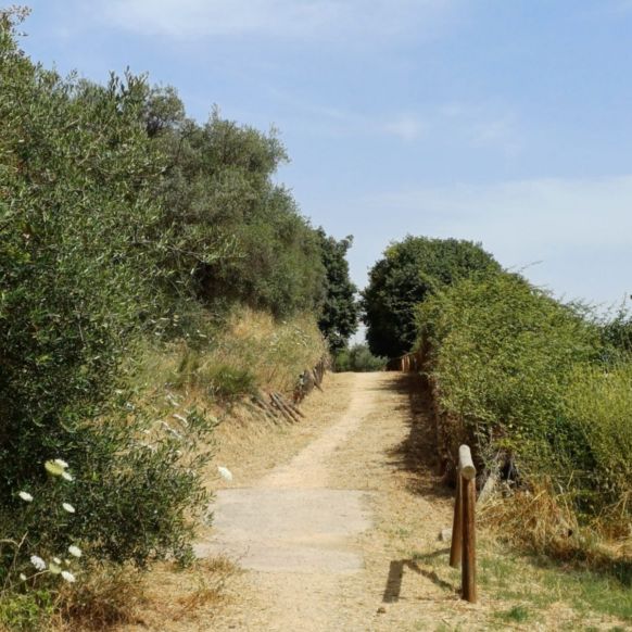 7897518a-ff5d-48c6-81fa-1fd6bcd289e9