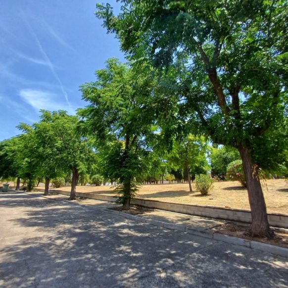 80bac615-b9d9-4a0a-aa65-6afecc1de402