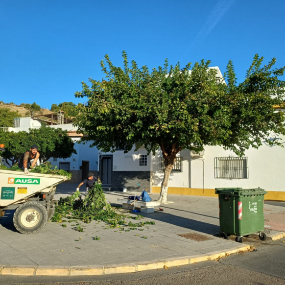 8a06eb42-c5e5-4f9a-8f67-ad87e476b643