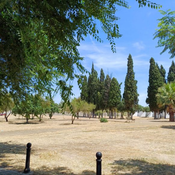 8e3a9f56-ce23-4ddf-89cf-22476f0d50ab