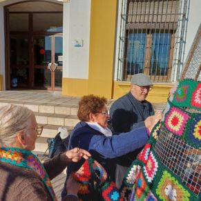 ARBOL AYUNTAMIENTO 4