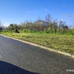 ARREGLOS JARDINERIA 3