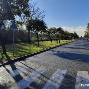 ARREGLOS JARDINERIA 6