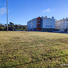 ARREGLOS JARDINERIA 8