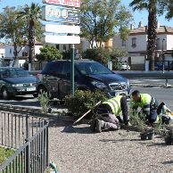 Aromaticas Duque de Alba1