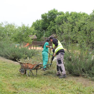 Jardinería manantiales (2)