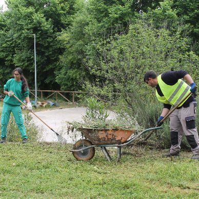 Jardinería manantiales (3)