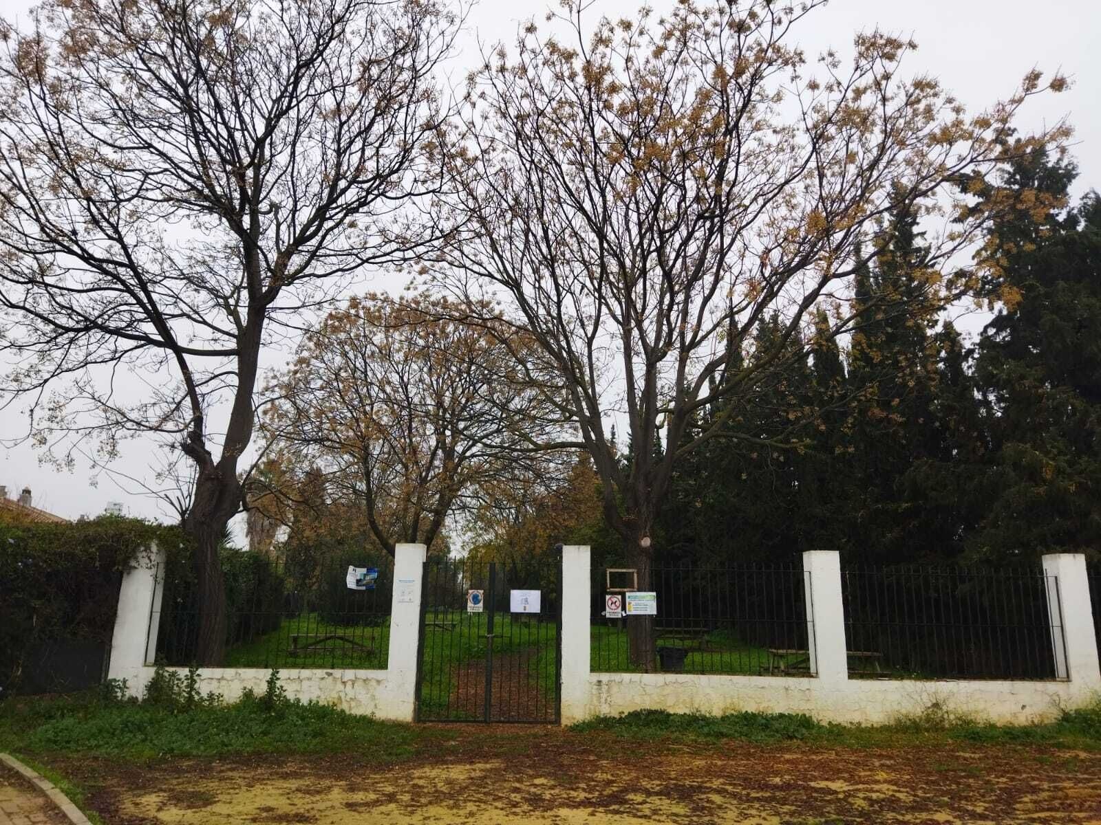 MARINA GELVES PARQUE CERRADO