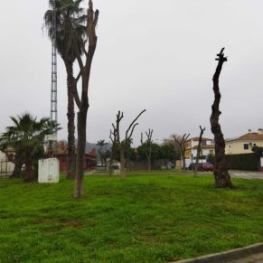 MARINA GELVES ROTONDA 2