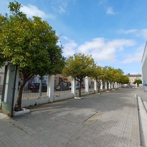 NARANJOS PABELLÓN DEPORTES