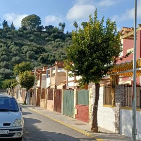 NARANJOS amaranta 2-1