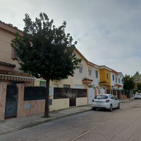 NARANJOS maestranza 1