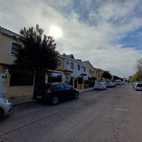 NARANJOS maestranza 2