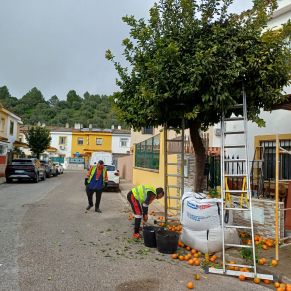 NARANJOS maestranza trabajadores 1