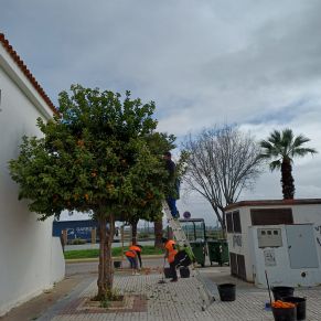 NARANJOS maestranza trabajadores 4