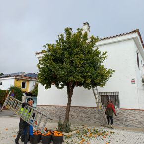 NARANJOS maestranza trabajadores 6