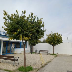 NARANJOS piscina cubierta 2