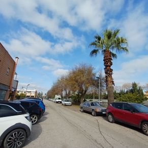 PALMEREAS CALLE ALMERIA 4