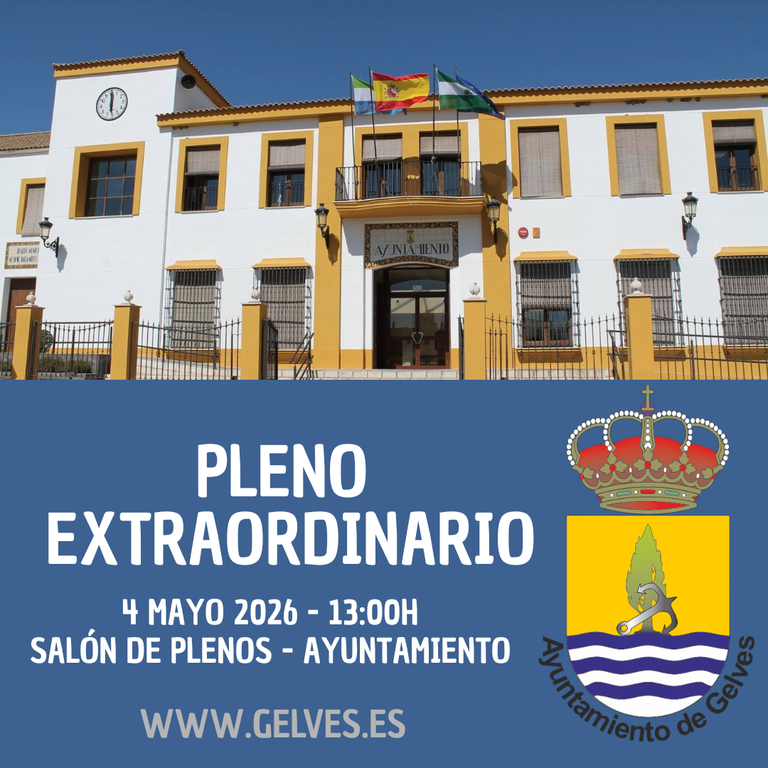 PLENO EXTRAORDINARIO 4 MAYO 26